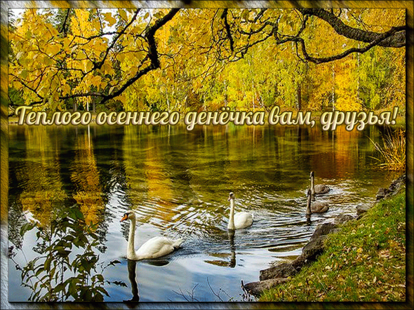 Теплого синего денечка
