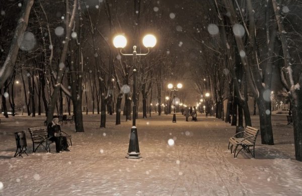 Падает снег в парке