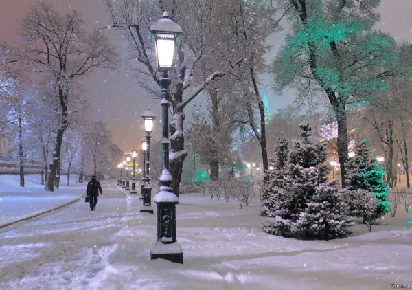 Зимняя аллея с фонарями