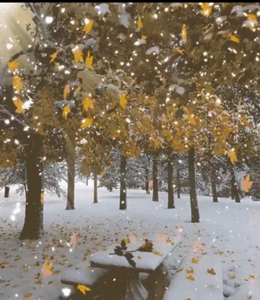 Открытки с первым снегом