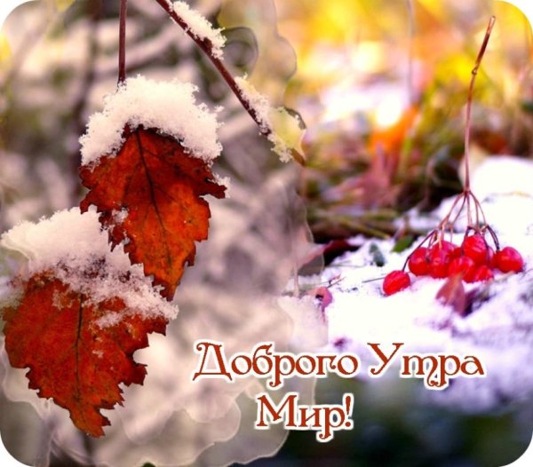 С первым осенним снегом доброе утро