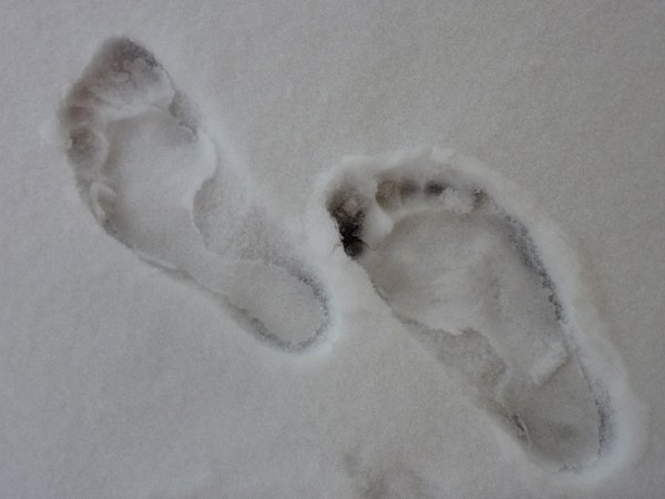 Отпечаток человека на снегу