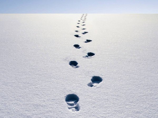 Человеческие следы на снегу