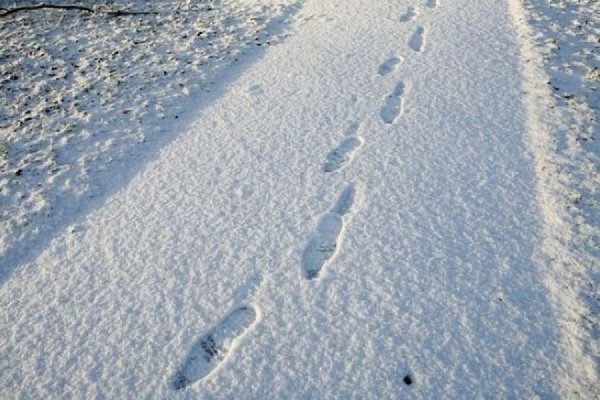 Следы на снегу вид сверху