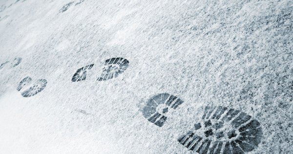 Следы обуви