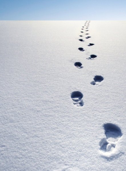 Следы на снегу