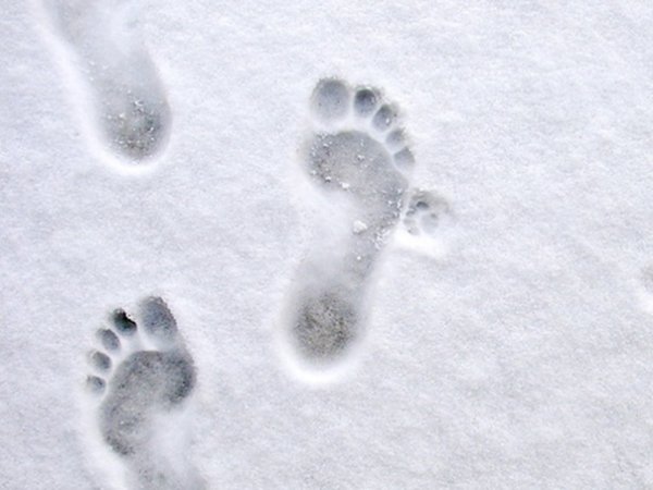 Следы на снегу для детей