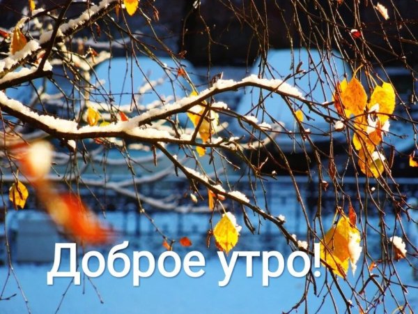 С добрым осенним утром ноября