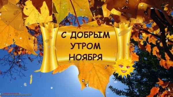 С добрым ноябрьским утром