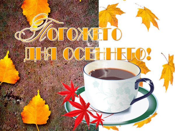 Доброе утро ноябрь