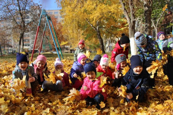 Осенняя прогулка в детском саду
