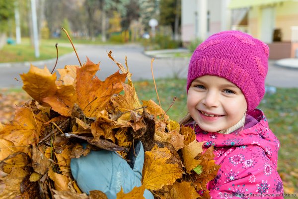 Дети на прогулке осенью