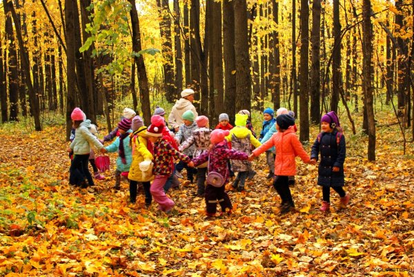 Экскурсия в лес