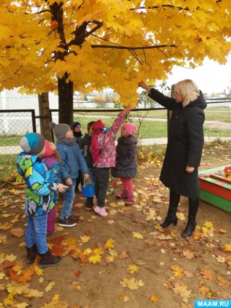 Осенняя прогулка в детском саду