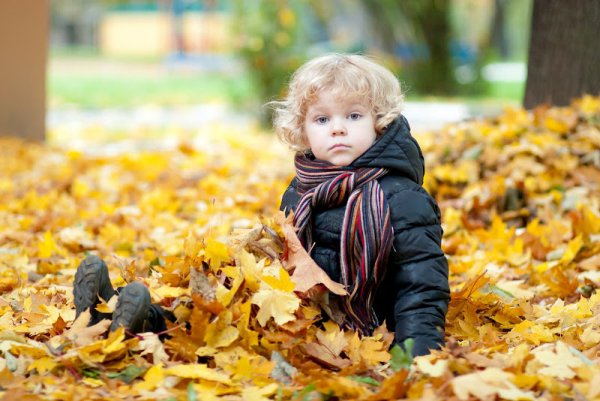 Дети в осеннем саду