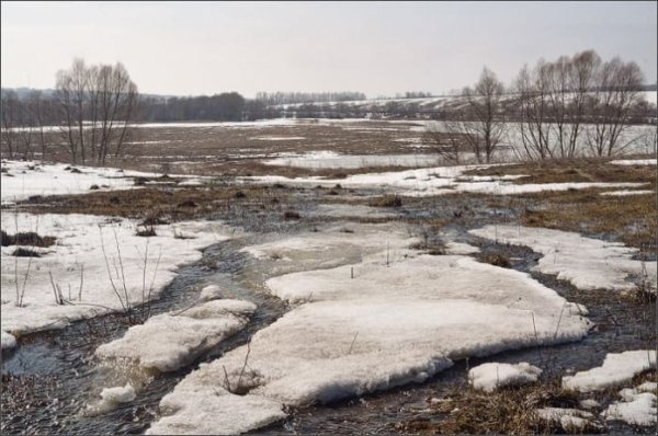 А.К. Толстого " вот уж снег последний в поле тает"