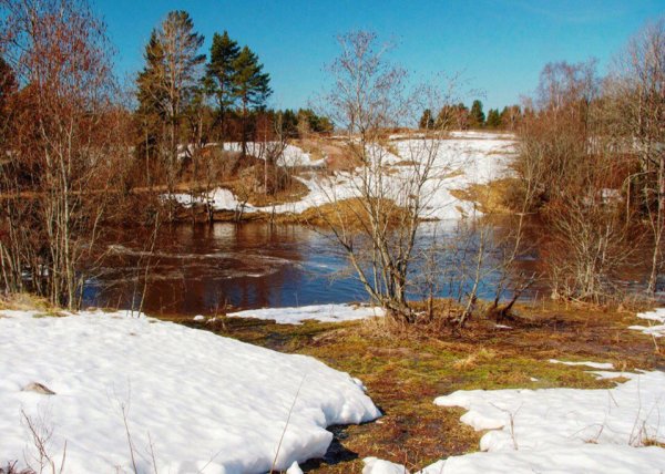 Ранняя Весна 1956
