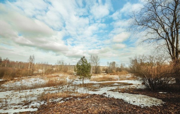 Проталины на полях