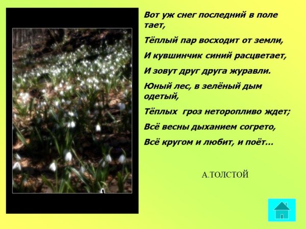 Стихотворение Толстого вот уж снег последний в поле тает