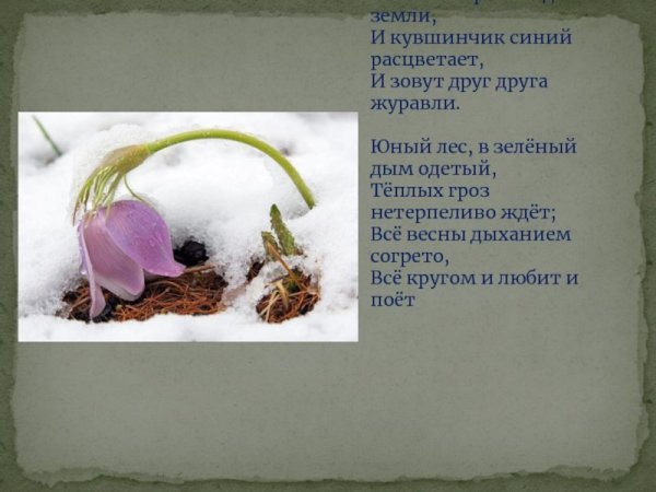 Стихотворение вот уж снег последний тает