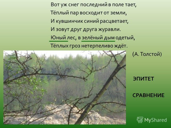 Юный лес в зелёный дым одетый тёплых гроз нетерпеливо ждёт