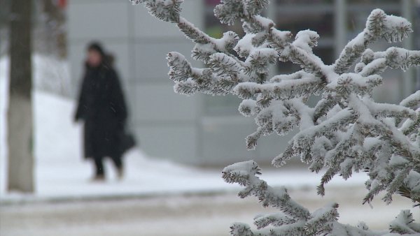 Пасмурно небольшой снег