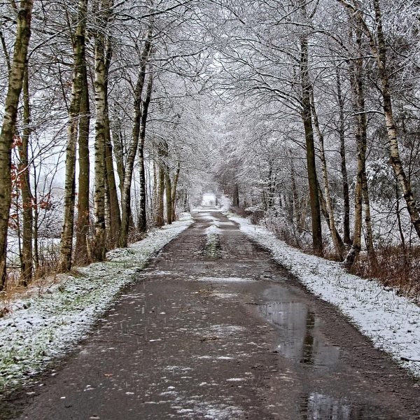 Март мокрый снег природа