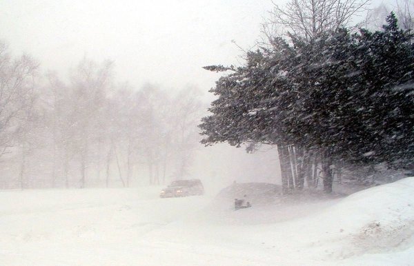 Сильный ветер со снегом