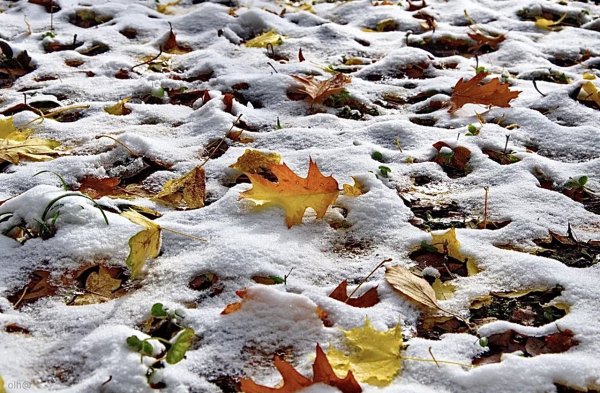 Природные явления осенью