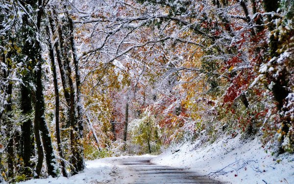 Поздняя осень