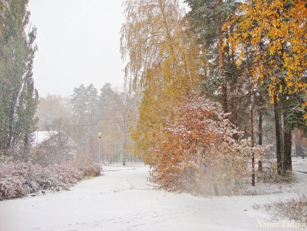 Встреча осени с зимой