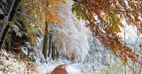 Осень зима природа