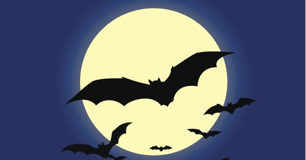Летучая мышь на фоне Луны рисунок