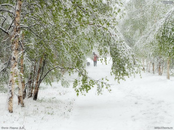 Снегопад летом