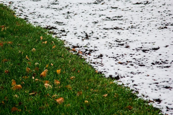 Мокрый снег в сентябре