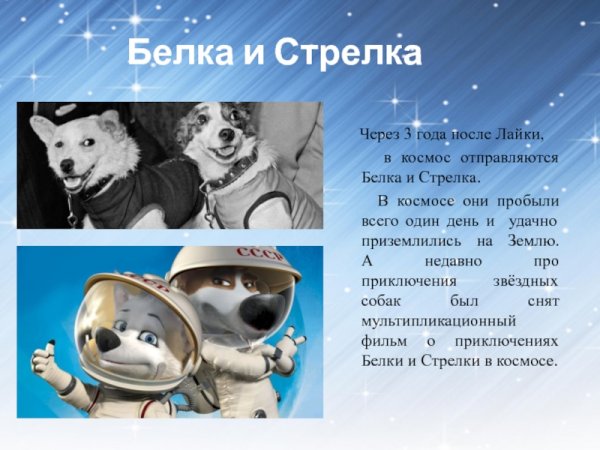 Белка и стрелка в космосе для детей