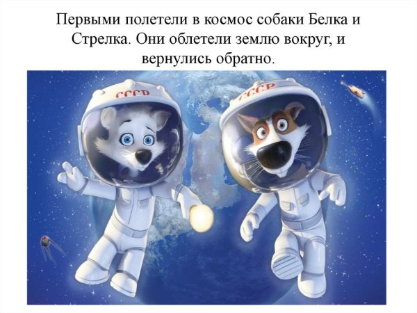 Полетели в космос