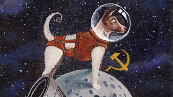 Первые собаки в космосе