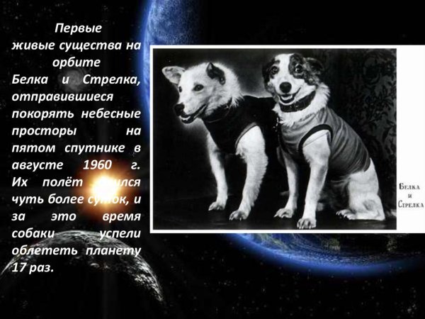 Живые существа на орбите