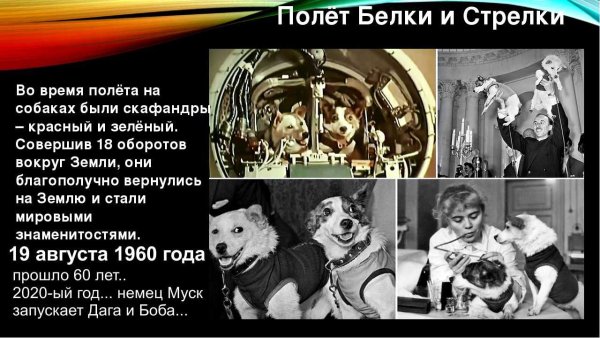 Белка и стрелка полёт в космос 1958