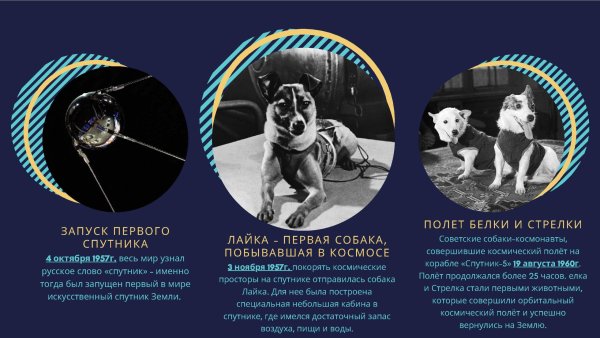 Белка и стрелка в космосе