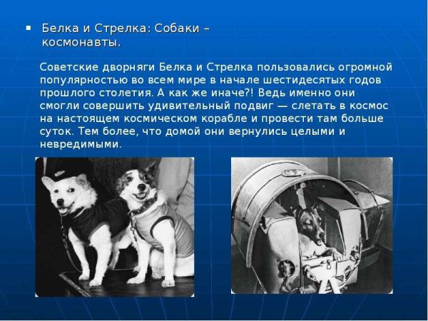 Королёв Сергей Павлович белка и стрелка