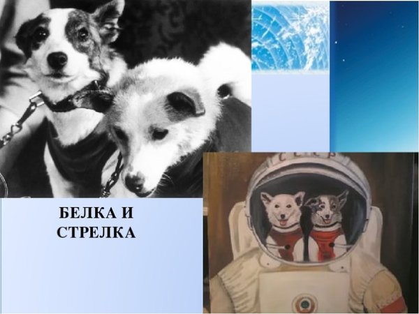 Терешкова Валентина белка и стрелка