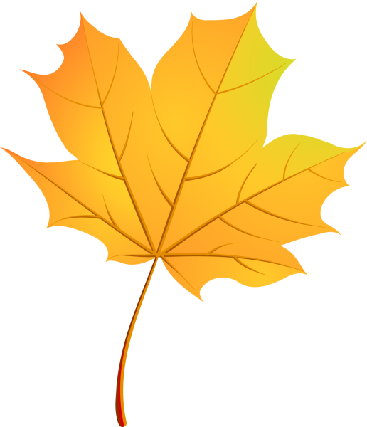 Осенний кленовый лист