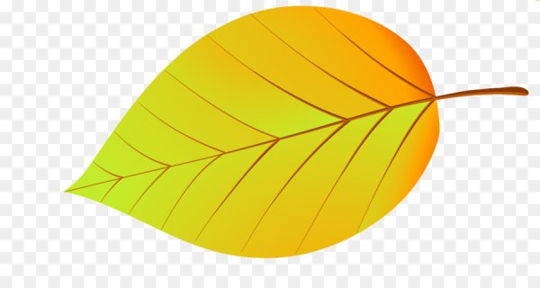 Листики деревьев