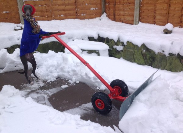 Уборка снега смешно