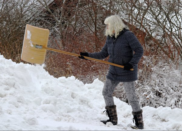 Роется в снегу