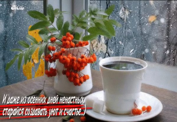 С добрым снежным осенним утром