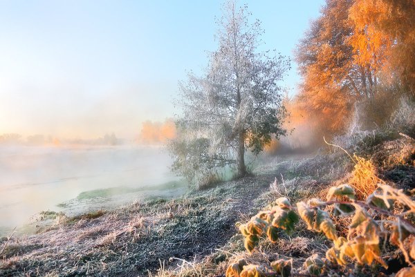 Морозное осеннее утро
