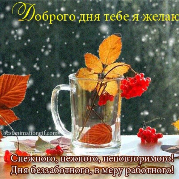 Пожелания с добрым ноябрьским утром